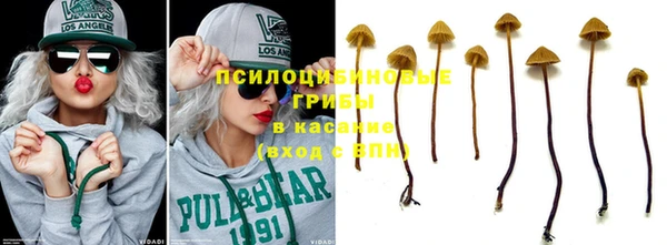 МДПВ Кукмор