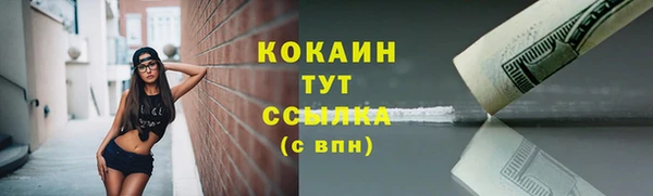 мдпв Верхний Тагил
