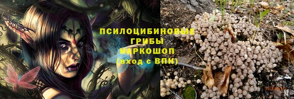 мдпв Верхний Тагил