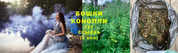 мескалин Бородино