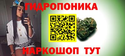 Альфа ПВП Севастополь