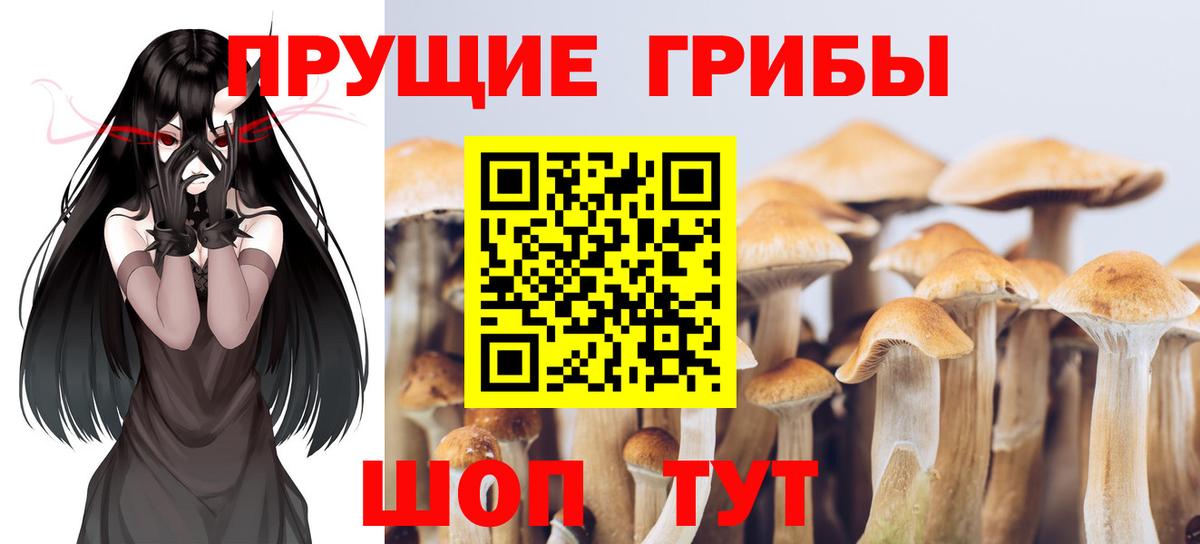 Псилоцибиновые грибы Magic Shrooms  Вход с VPN  как найти наркотики  Славянск-на-Кубани 