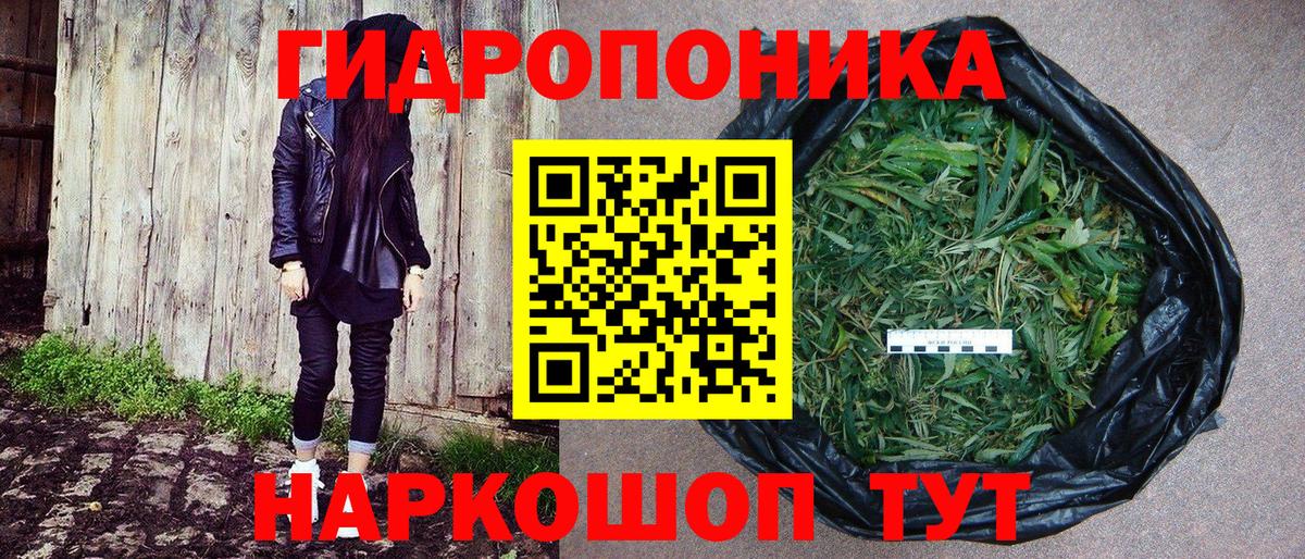 Конопля Bruce Banner  Каннабис семена  Славянск-на-Кубани  МАРИХУАНА SATIVA & INDICA  Вход с VPN 